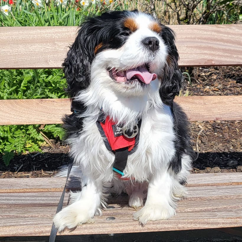 2024_2025 - Murphy - 20.jpg